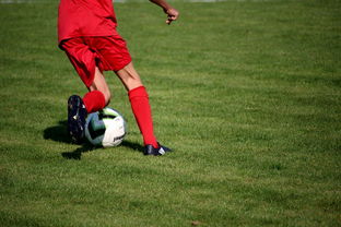 开云官网APP下载-国脚待遇结构调整引导更多球员留在国内发展,国家队国脚